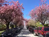 723 E 12TH AVENUE - thumbnail 38
