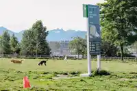 404 2741 E HASTINGS STREET - thumbnail 37