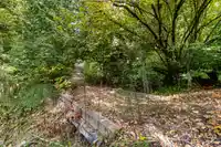 22441 79 AVENUE - thumbnail 39