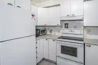 7307 MAGNOLIA TERRACE - thumbnail 12