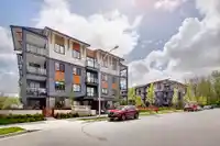 326 7506 199A STREET - thumbnail 23