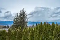 5465 HIGHROAD CRESCENT - thumbnail 35