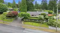 3250 DELBROOK AVENUE - thumbnail 1