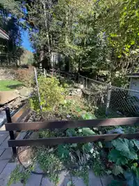 98 43201 LOUGHEED HIGHWAY - thumbnail 22
