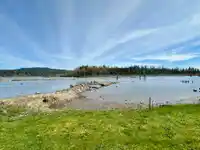 109 9950 WILSON STREET - thumbnail 31