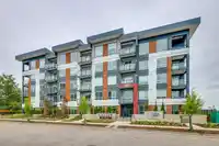 522 8117 200A STREET - thumbnail 25