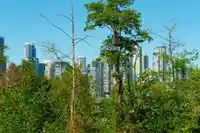 101 1166 W 6TH AVENUE - thumbnail 14