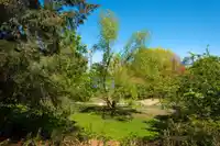 101 1166 W 6TH AVENUE - thumbnail 25