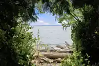 2825 LOWER ROAD - thumbnail 25