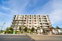 328 20360 LOGAN AVENUE - thumbnail 33