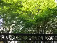 307 8495 JELLICOE STREET - thumbnail 16