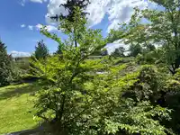 10582 HOLLY PARK LANE - thumbnail 38