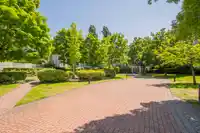 118 20896 57 AVENUE - thumbnail 4
