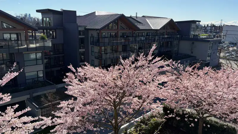 404 1061 MARINE DRIVE - photo 1 of 39