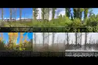 63 7665 209 STREET - thumbnail 9