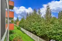 225 12085 228 STREET - thumbnail 23