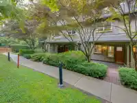 123 250 SALTER STREET - thumbnail 24