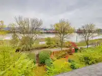 123 250 SALTER STREET - thumbnail 25