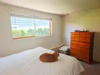 2155 GRAVELEY STREET - thumbnail 30