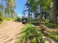 23541 24 AVENUE - thumbnail 37