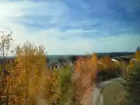 46 1295 SOBALL STREET - thumbnail 30