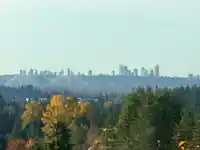 46 1295 SOBALL STREET - thumbnail 31