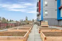302 5486 199A STREET - thumbnail 26