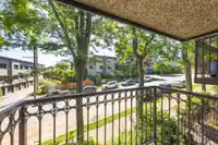 1557 LARCH STREET - thumbnail 18
