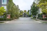 60 8476 207A STREET - thumbnail 39