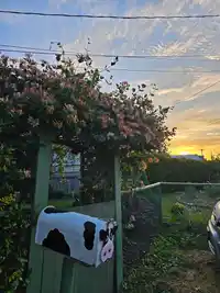 21528 OLD YALE ROAD - thumbnail 18