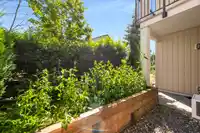 105 19940 BRYDON CRESCENT - thumbnail 14