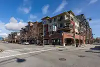 305 11862 226 STREET - thumbnail 38