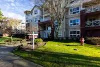 118 8068 120A STREET - thumbnail 33