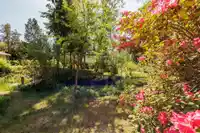 5819 TROUT LAKE ROAD - thumbnail 29