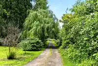 28203 LOUGHEED HIGHWAY - thumbnail 37