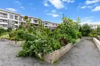 C411 8150 207 STREET - thumbnail 30