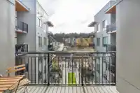 527 3131 MURRAY STREET - thumbnail 23