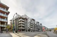 527 3131 MURRAY STREET - thumbnail 39