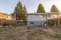 1110 COTTONWOOD AVENUE - thumbnail 38