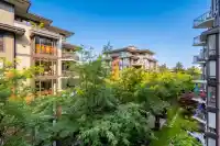 403 1551 FOSTER STREET - thumbnail 20