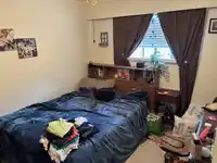 11786 212 STREET - thumbnail 19