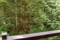 205 3294 MT SEYMOUR PARKWAY - thumbnail 6