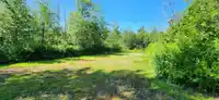 34324 WHITE AVENUE - thumbnail 7