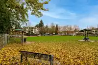 105 20125 55A AVENUE - thumbnail 31