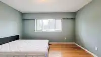 9865 128A STREET - thumbnail 12