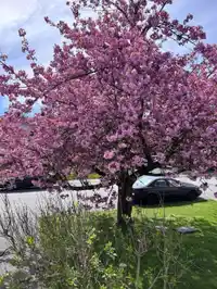22475 STRENG AVENUE - thumbnail 2