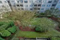 403 2970 PRINCESS CRESCENT - thumbnail 25