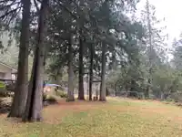 19552 SILVER SKAGIT ROAD - thumbnail 8