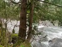 19552 SILVER SKAGIT ROAD - thumbnail 10