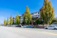 337 5660 201A STREET - thumbnail 29